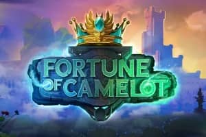 Fortune of Camelot slot preview