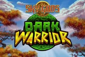 Dark Warrior slot preview