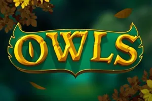 Owls slot preview