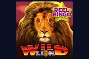 Wild Lion with Reel Bingo slot preview