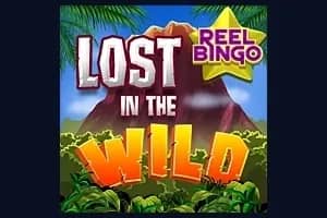 Lost in the Wild with Reel Bingo slot preview