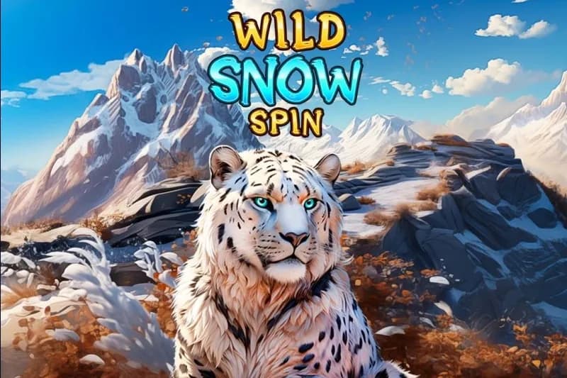 Wild Snow Spin slot preview