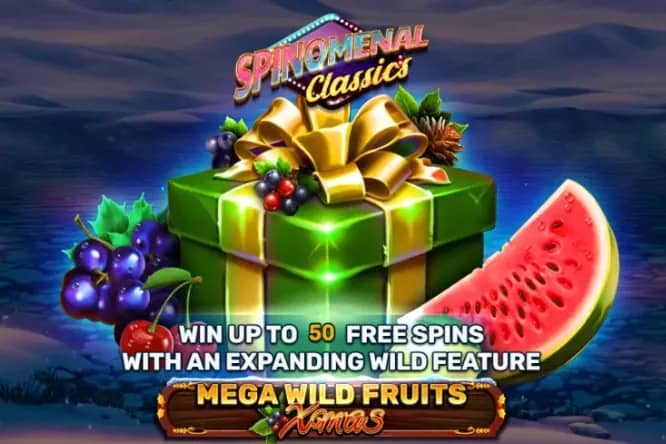 Mega Wild Fruits - Xmas slot preview