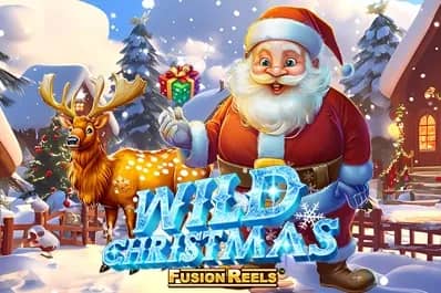 Wild Christmas slot preview