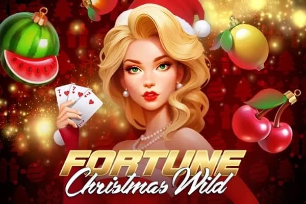 Fortune Christmas Wild slot preview