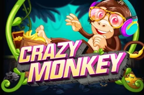 Crazy Monkey slot preview