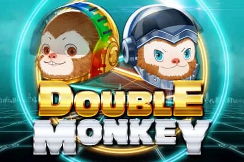 Double Monkey slot preview