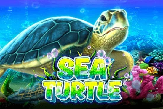 Sea Turtle slot preview