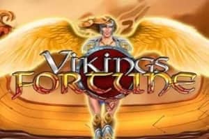 Vikings Fortune slot preview