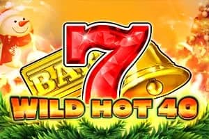 Wild Hot 40 Christmas slot preview