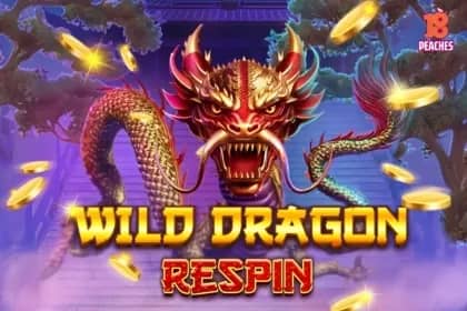 Wild Dragon Respin slot preview
