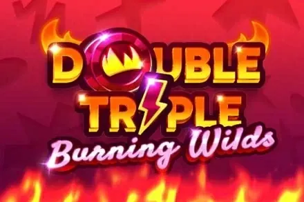 Double Triple Burning Wilds slot preview
