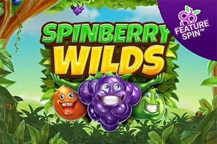 Spinberry Wilds slot preview