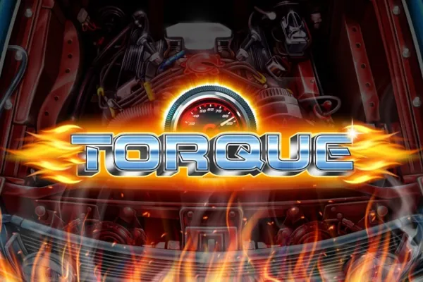 Torque slot preview