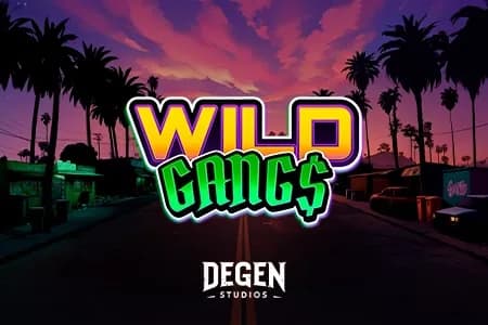 Wild Gangs slot preview
