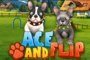 Ace and Flip slot preview