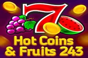 Hot Coins & Fruits 243 slot preview