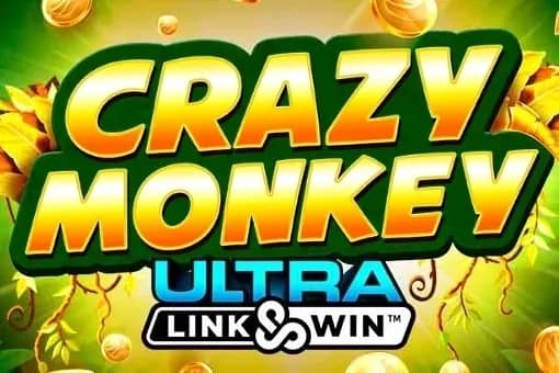 Crazy Monkey Ultra Link&Win bingo game preview