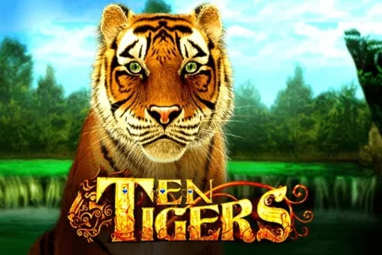 Ten Tigers slot preview