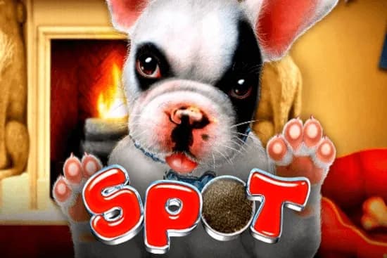 Spot slot preview