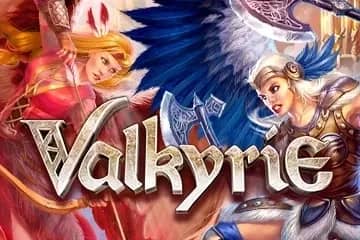 Valkyrie slot preview