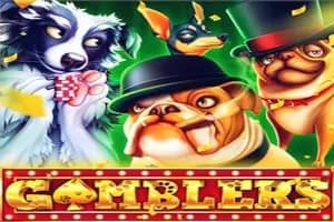Gamblers slot preview
