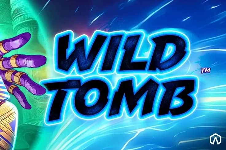 Wild Tomb slot preview