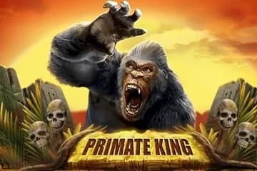 Primate King slot preview