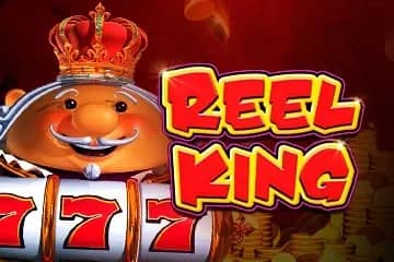 Reel King Mega slot preview