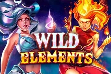 Wild Elements slot preview