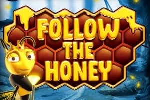 Follow the Honey slot preview