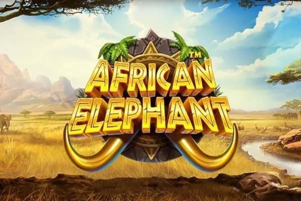 African Elephant slot preview