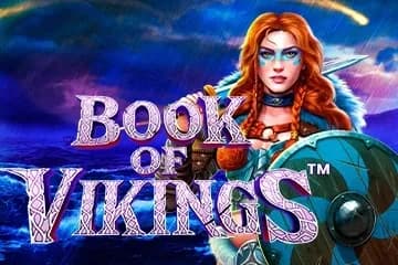 Book of Vikings slot preview
