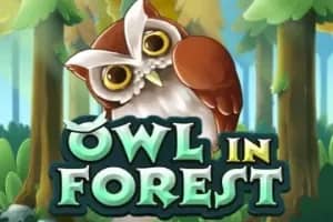 Owl in Forest slot preview