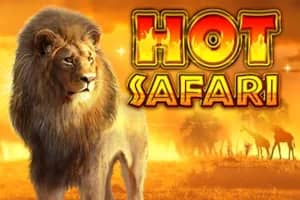 Hot Safari slot preview