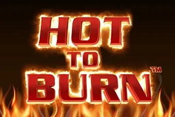 Hot to Burn slot preview