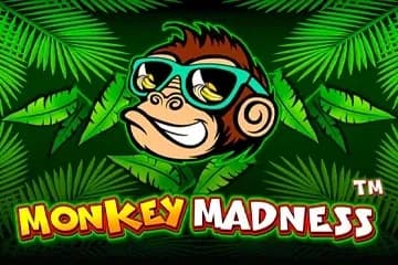 Monkey Madness slot preview