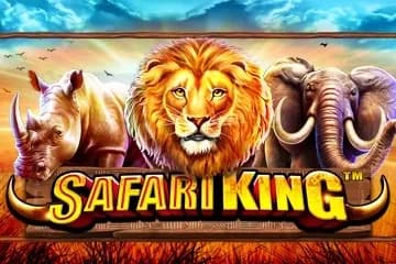 Safari King slot preview