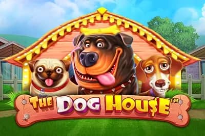 The Dog House slot preview