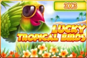 Lucky Tropical Birds 3x3 slot preview