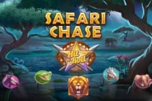 Safari Chase Hit 'n' Roll slot preview