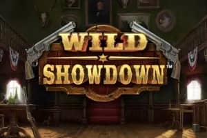 Wild Showdown slot preview