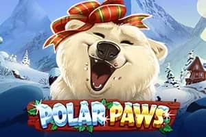 Polar Paws slot preview