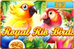 Royal Rio Birds 3x3 slot preview