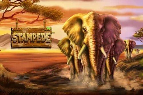 Stampede slot preview