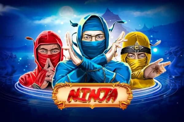 Ninja slot preview