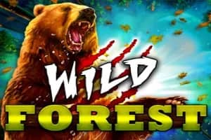 Wild Forest slot preview