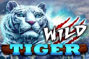 Wild Tiger slot preview