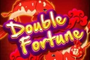 Double Fortune slot preview