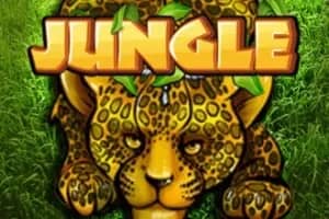 Jungle slot preview